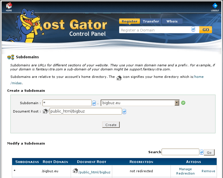 Wildcard DNS Sub Domain