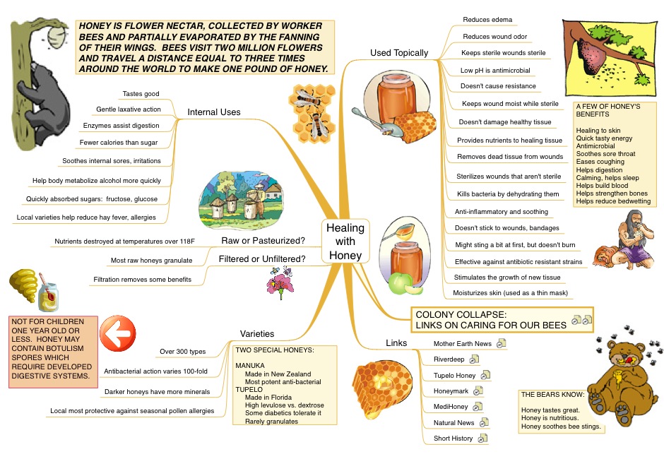 A Mind Map about the Healing Properties of Honey