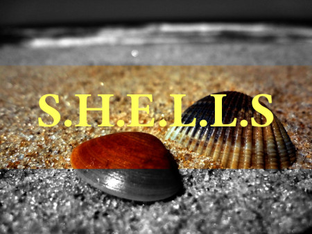 Keep your writing simple. Remember SHELLS.