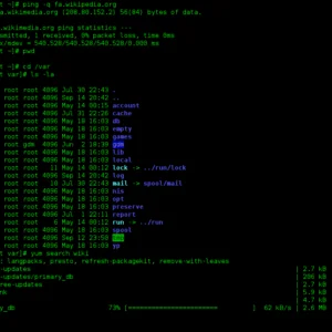 Linux command line screenshot